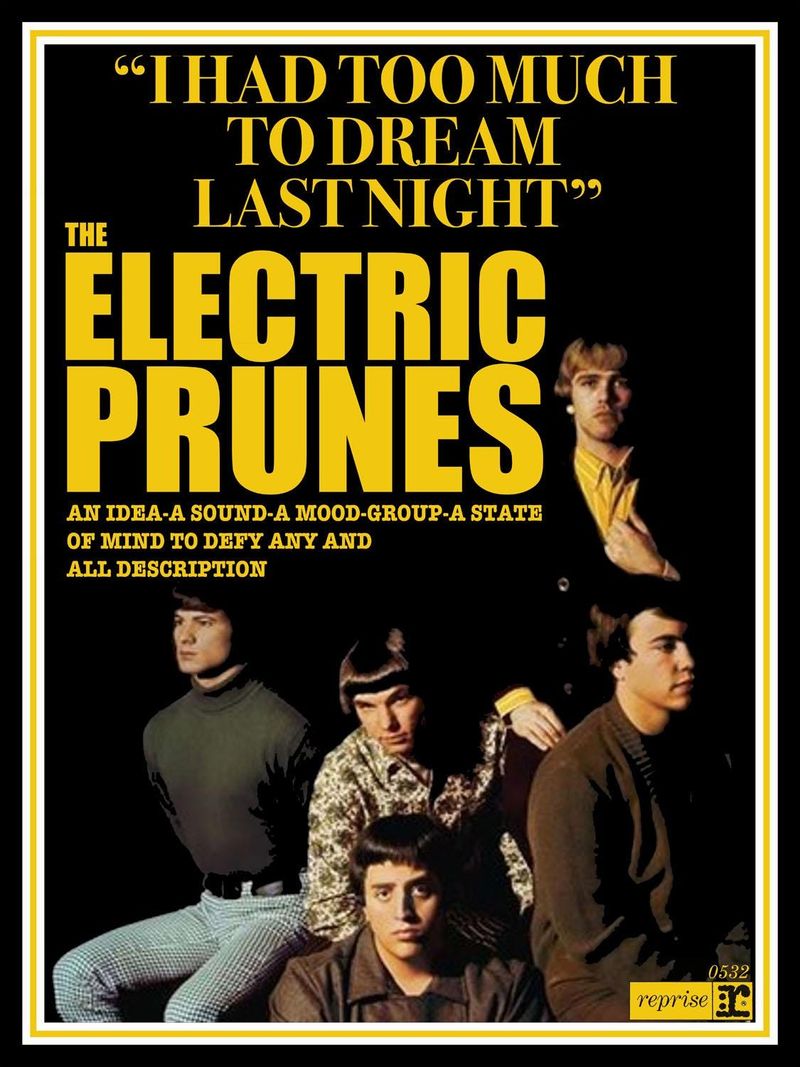 I Had Too Much to Dream (Last Night) (1966) by The Electric Prunes