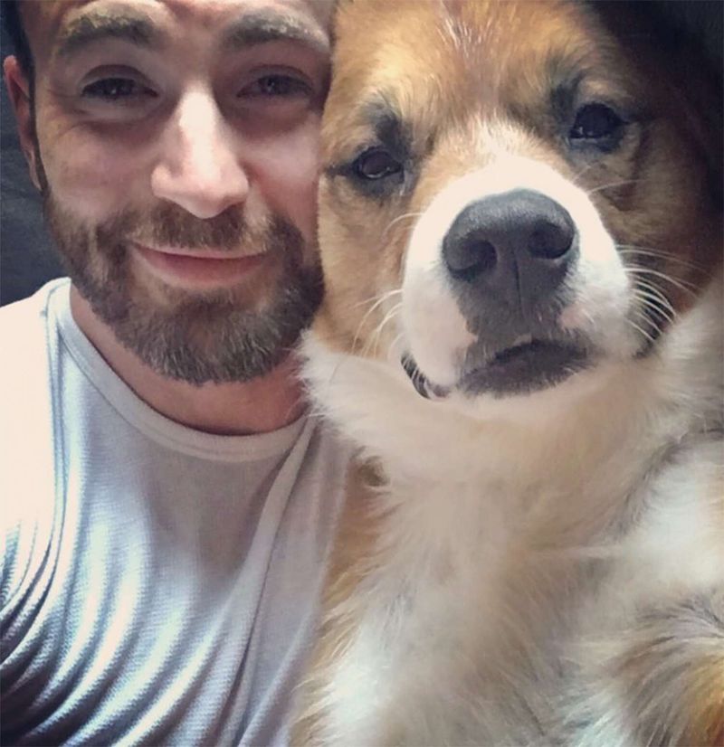 Chris Evans and His Rescue Dog Dodger
