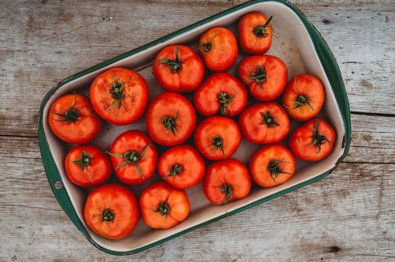 Fruits and Vegetables Only Showed Up in Season