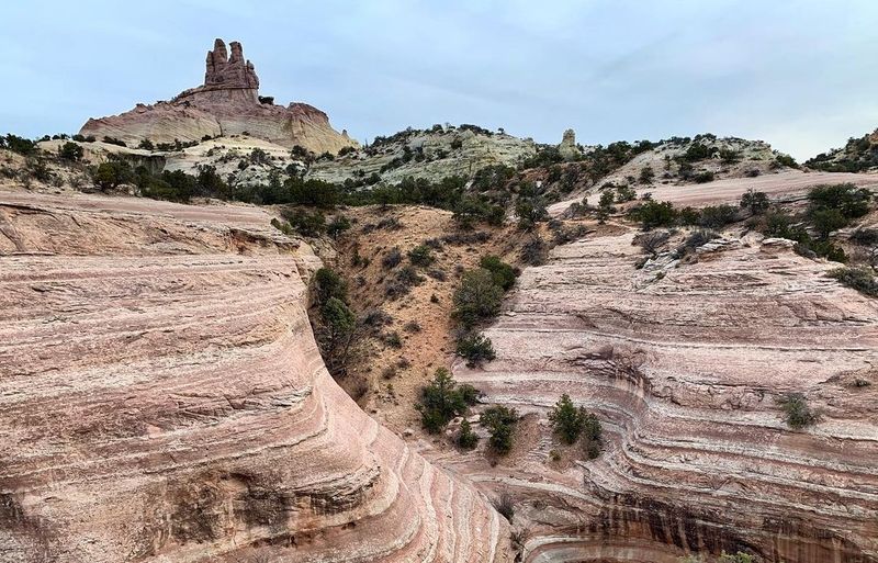 Red Rock Park and Museum (near Gallup)