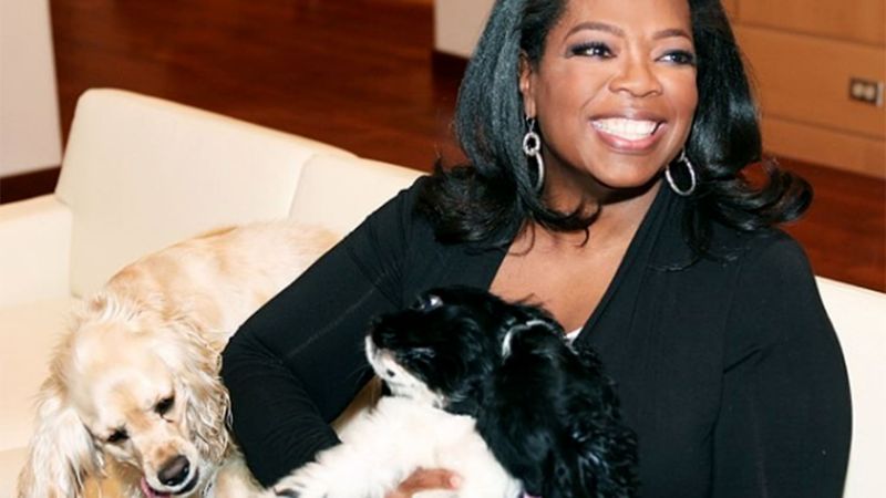 Oprah Winfrey and Her Golden Retriever Luke