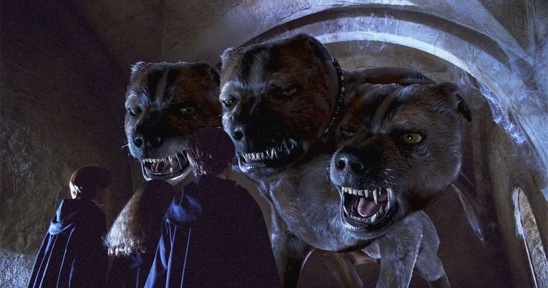 Hogwarts Had Shockingly Dangerous Safety Standards