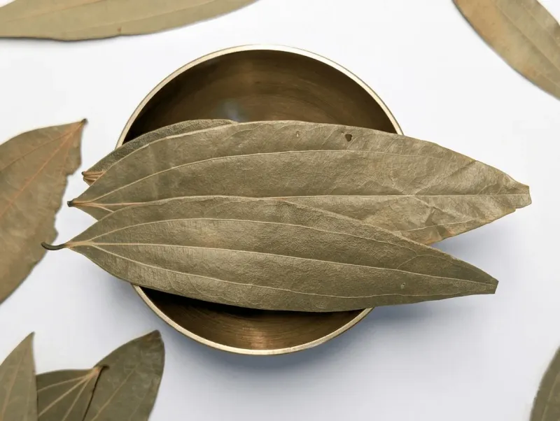 Indian Bay Leaf (Tej Patta)