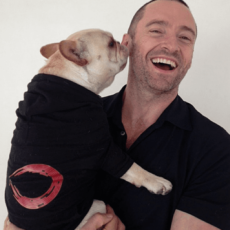 Hugh Jackman and His French Bulldog Dali