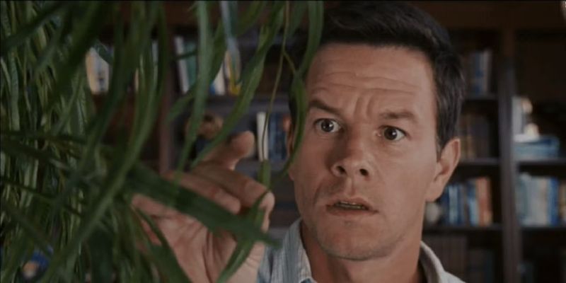 Mark Wahlberg as Elliot Moore in The Happening (2008)