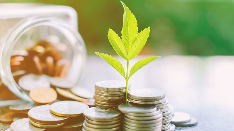 Financial Struggles and Lower Earning Potential