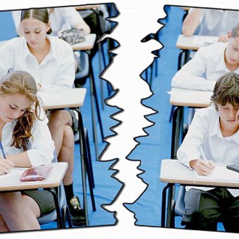 Boys and Girls Were Separated into Different Classes