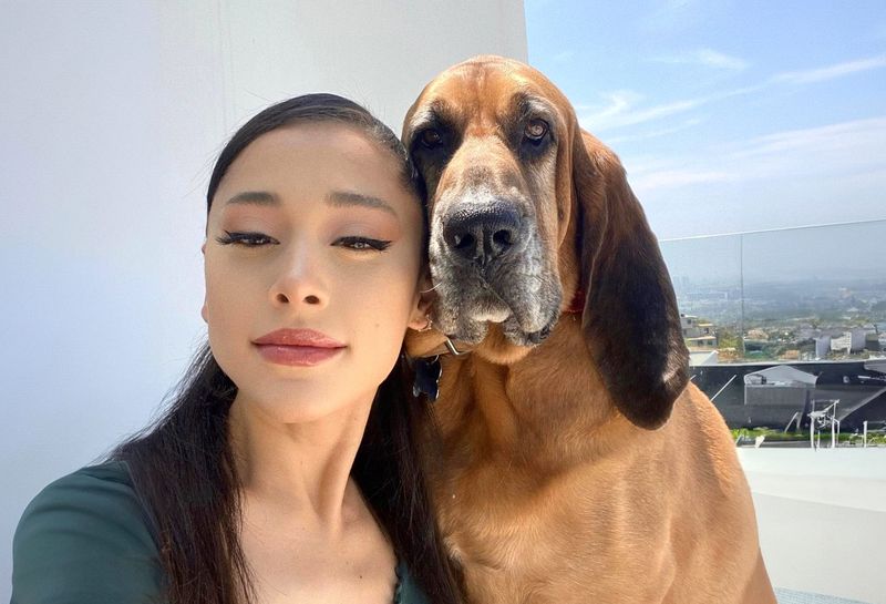 Ariana Grande and Her Rescue Dog Squad