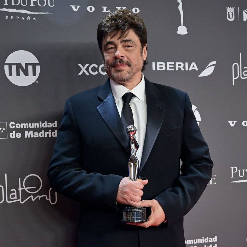 Benicio del Toro