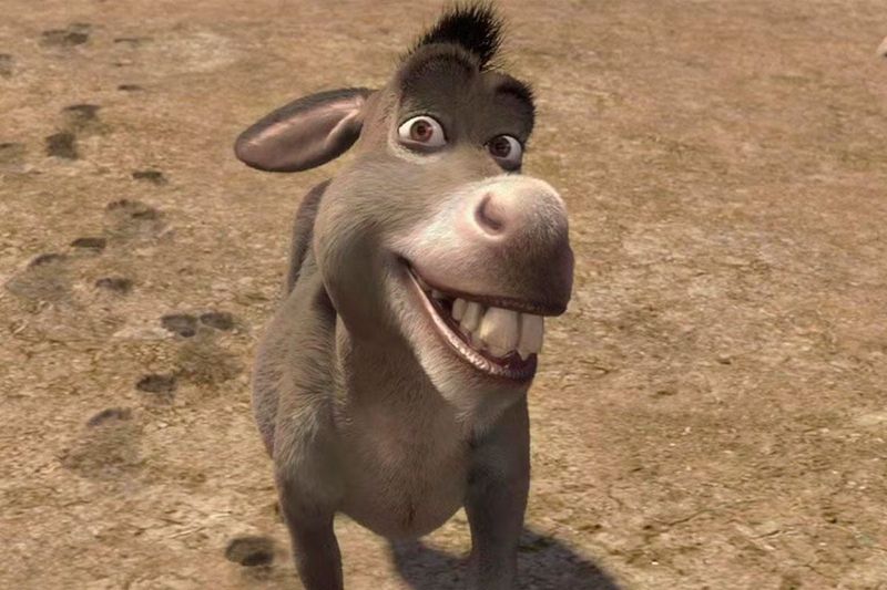 Shrek and Donkey (Shrek)