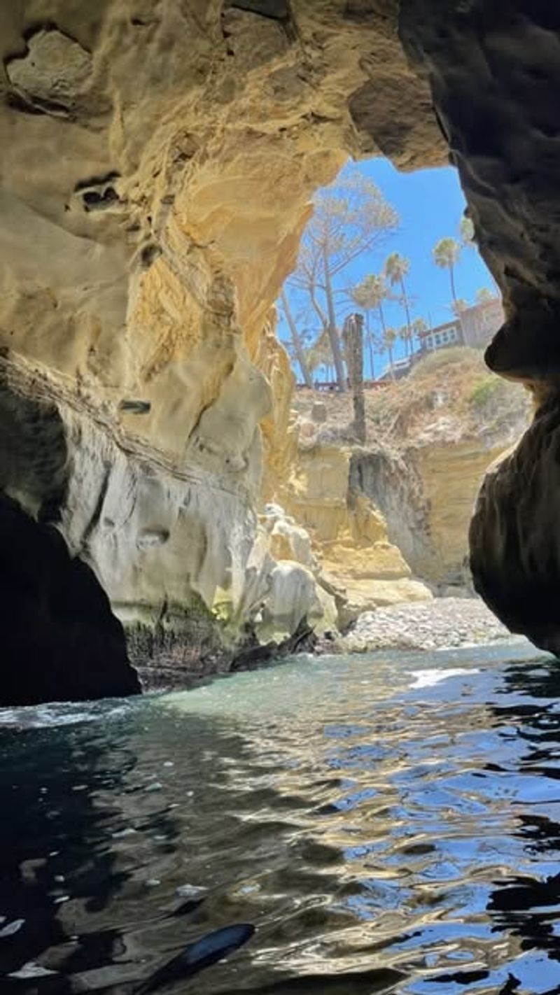 Marine Street Beach (La Jolla)