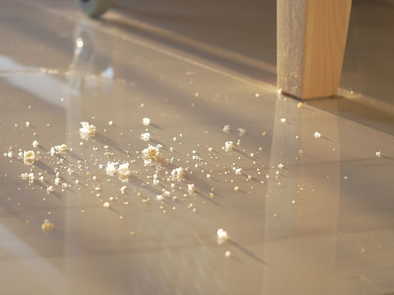 Floors Covered in Crumbs and Food Debris