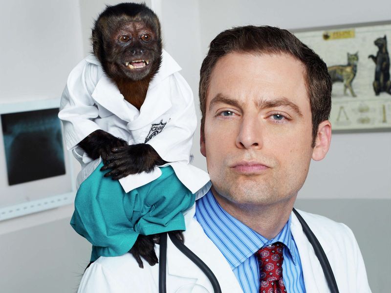 Animal Practice (2012)