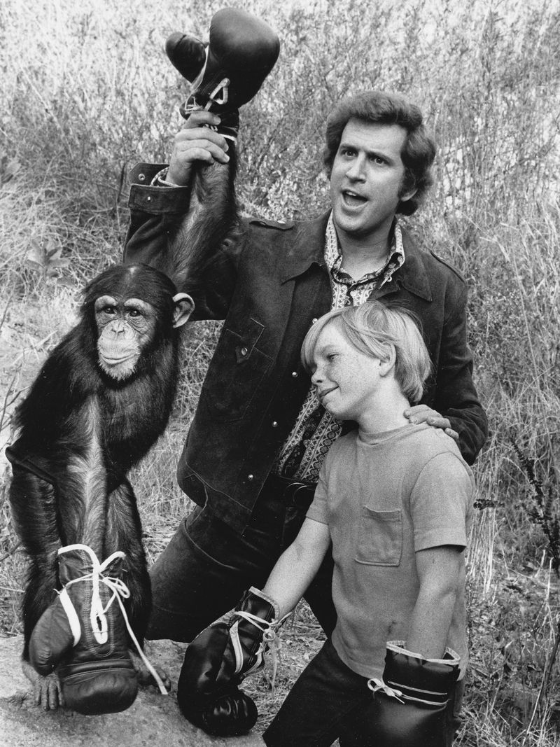 Me and the Chimp (1972): CBS's Primate Problem