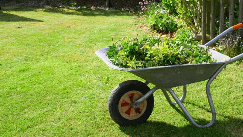 Yard Work and Gardening