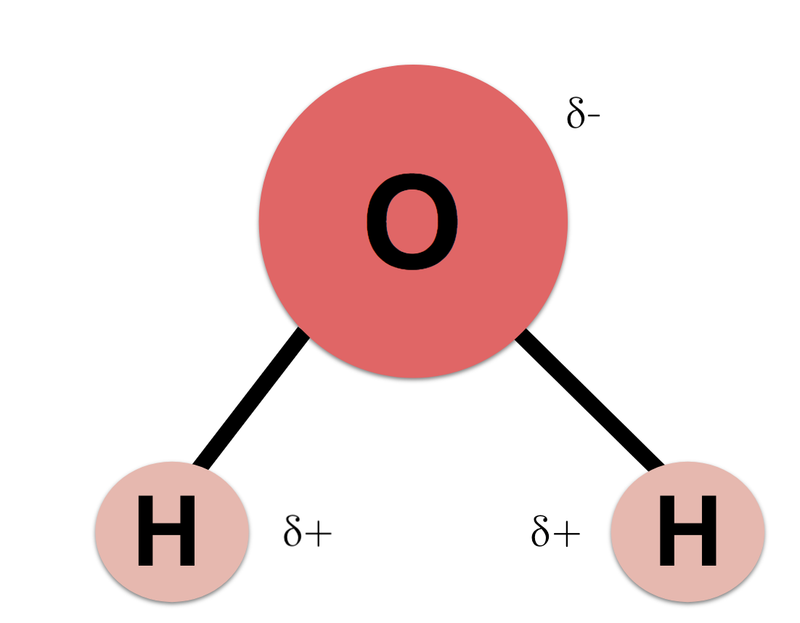 What Is the Chemical Symbol for Water?
