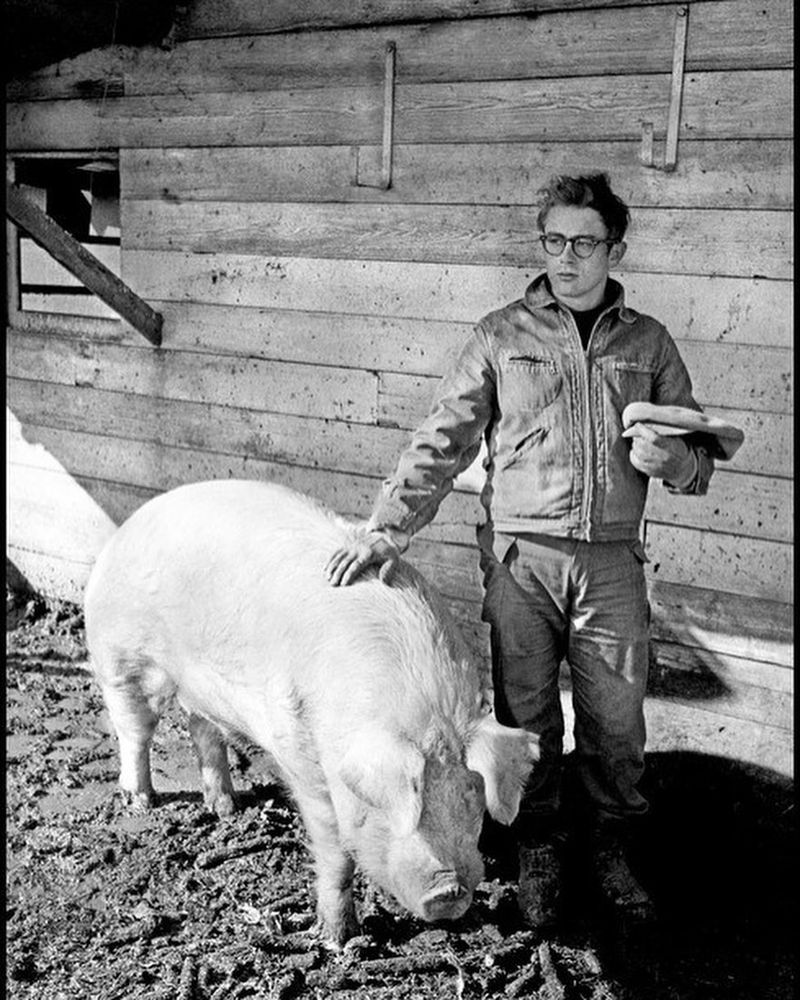 James Dean