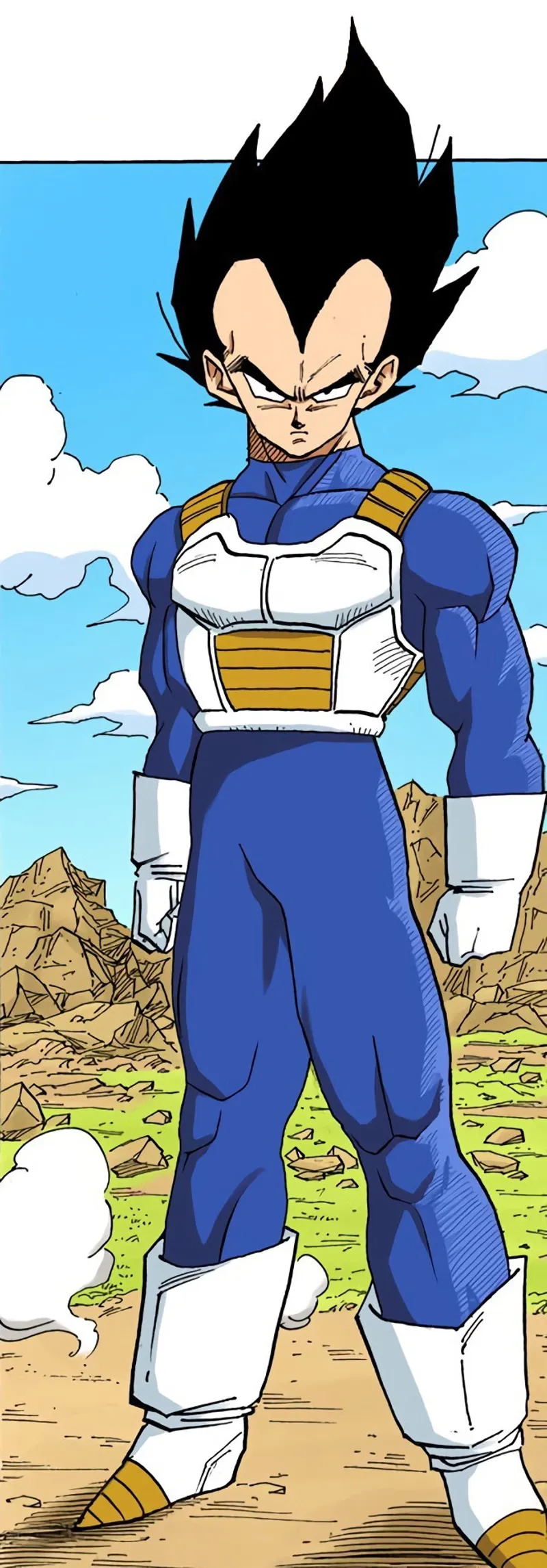 Vegeta - Dragon Ball Z