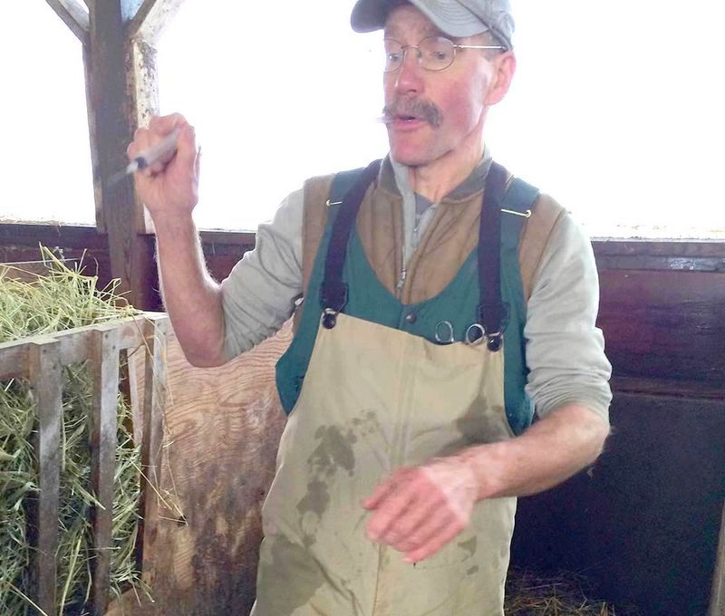 Peter Ostrum