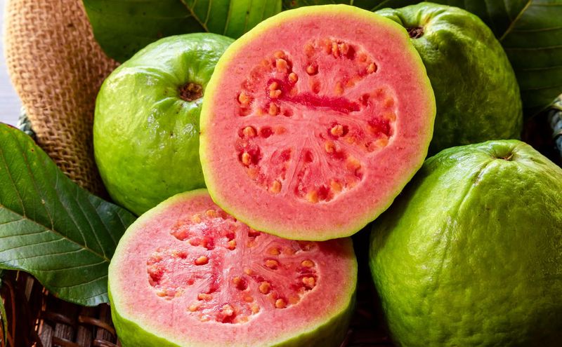 Guava