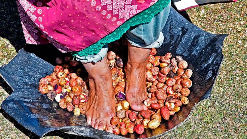 Chuño: Bolivia's Freeze-Dried Potato Tradition