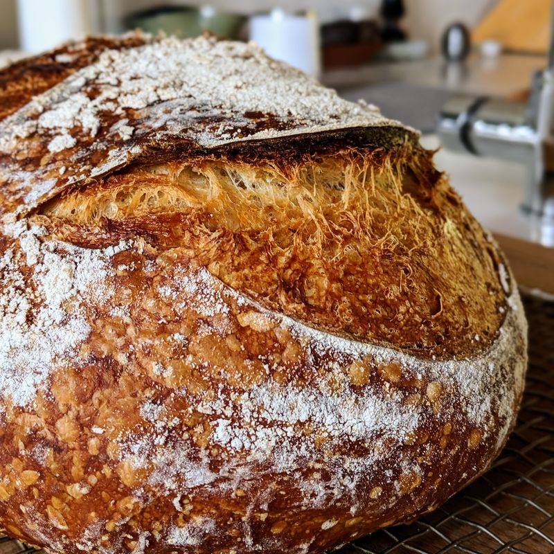 Rustic Bread