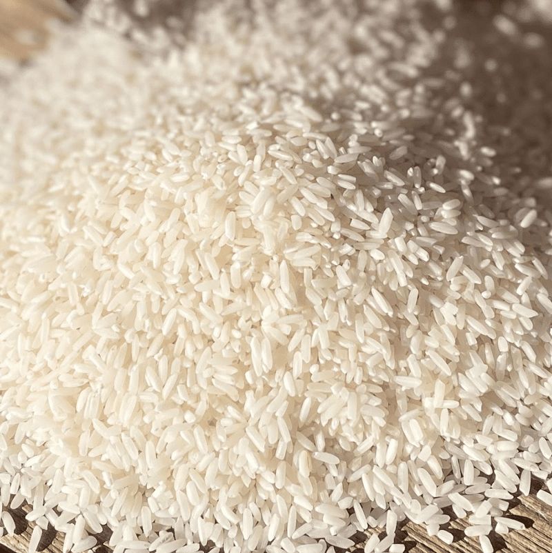 Rice