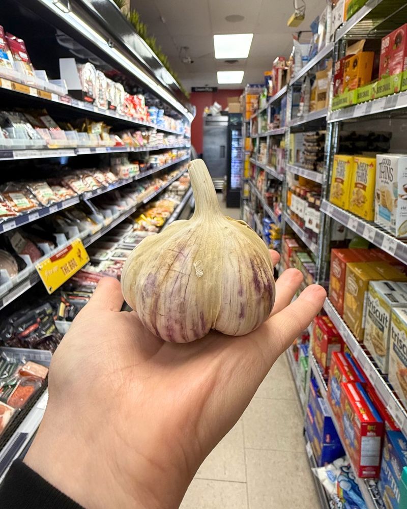 Buying Old or Low-Quality Garlic
