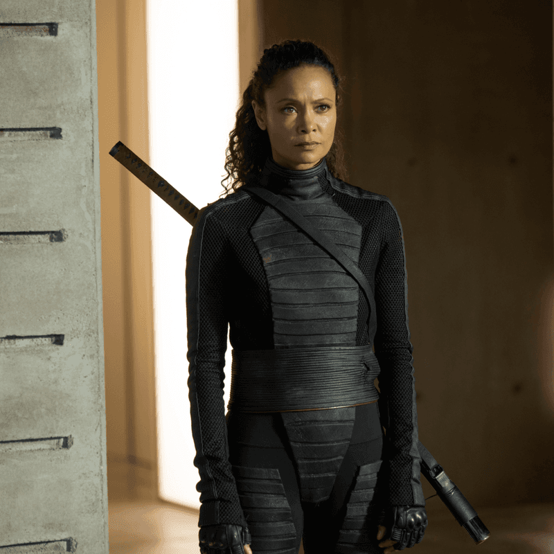 Maeve Millay from Westworld