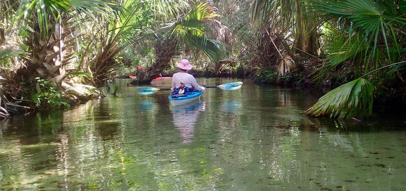Juniper Springs