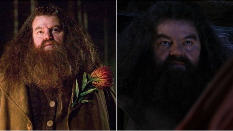 Hagrid Was Expelled for Opening the Chamber of Secrets