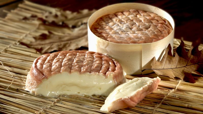 Camembert
