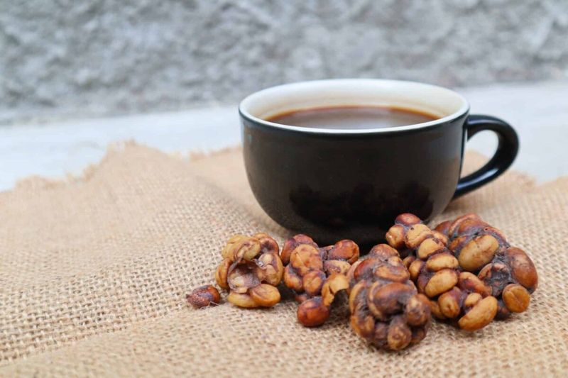 Kopi Luwak