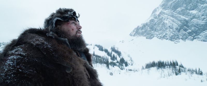 The Revenant (2015)