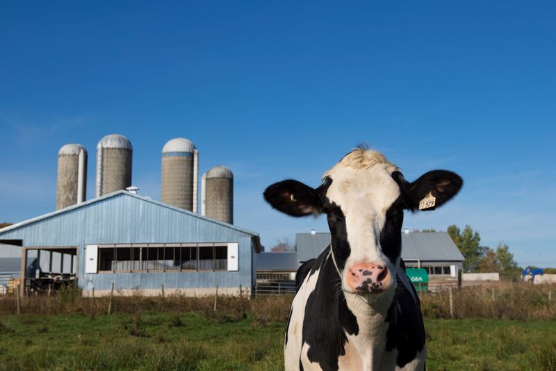 Dairy from rBST-Treated Cows