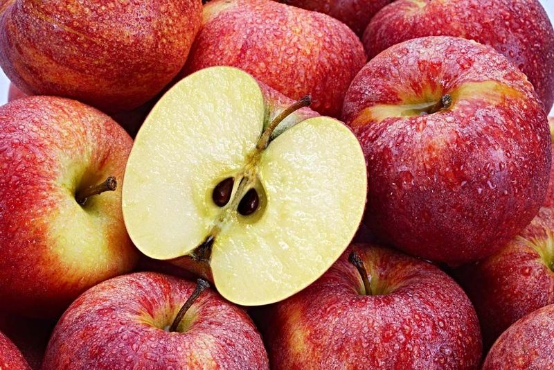 Apple Seeds