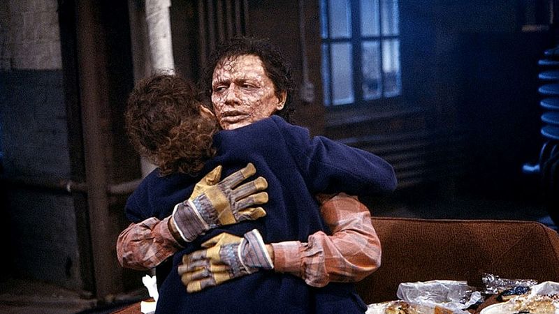 The Fly