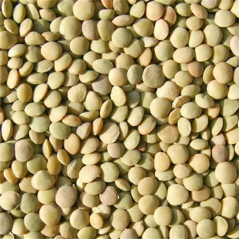 Dried Beans and Lentils