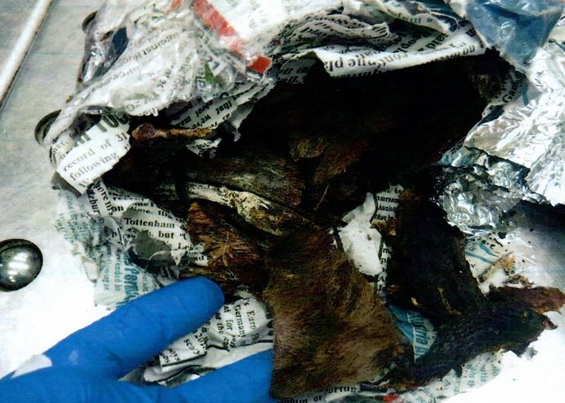 Bushmeat