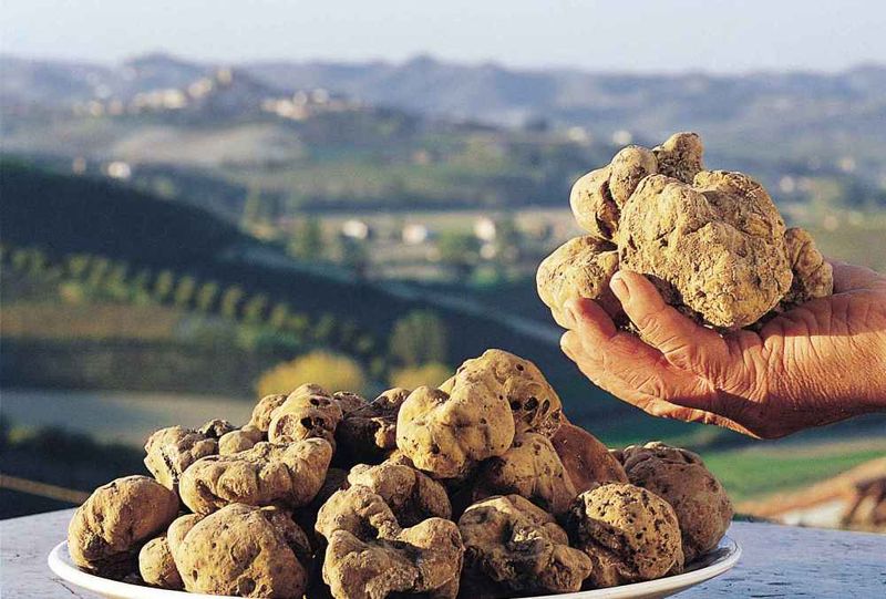 White Truffles