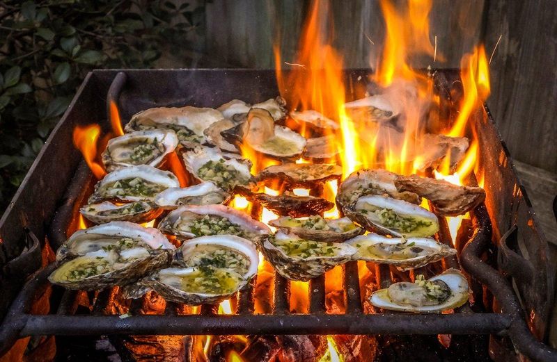 Oysters
