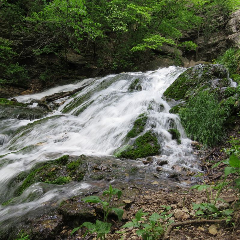 Decorah