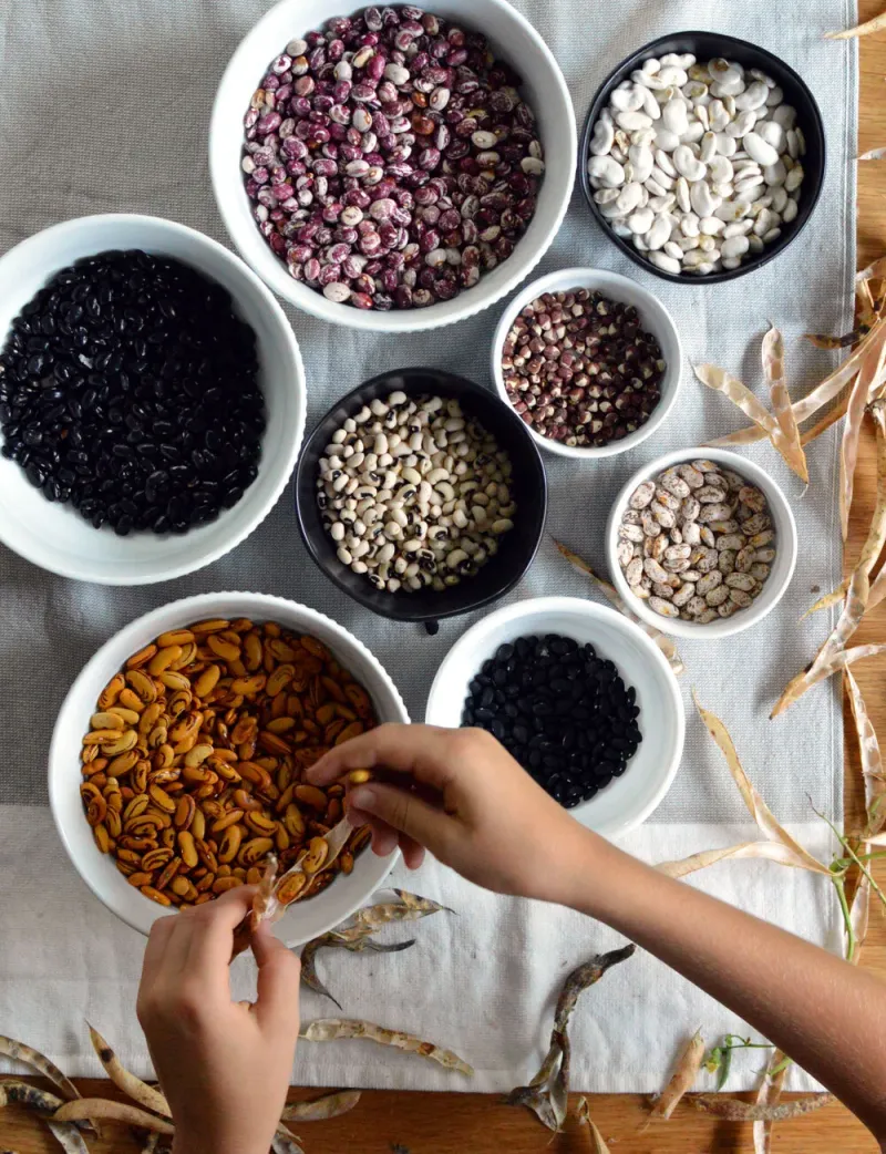 Dried Beans