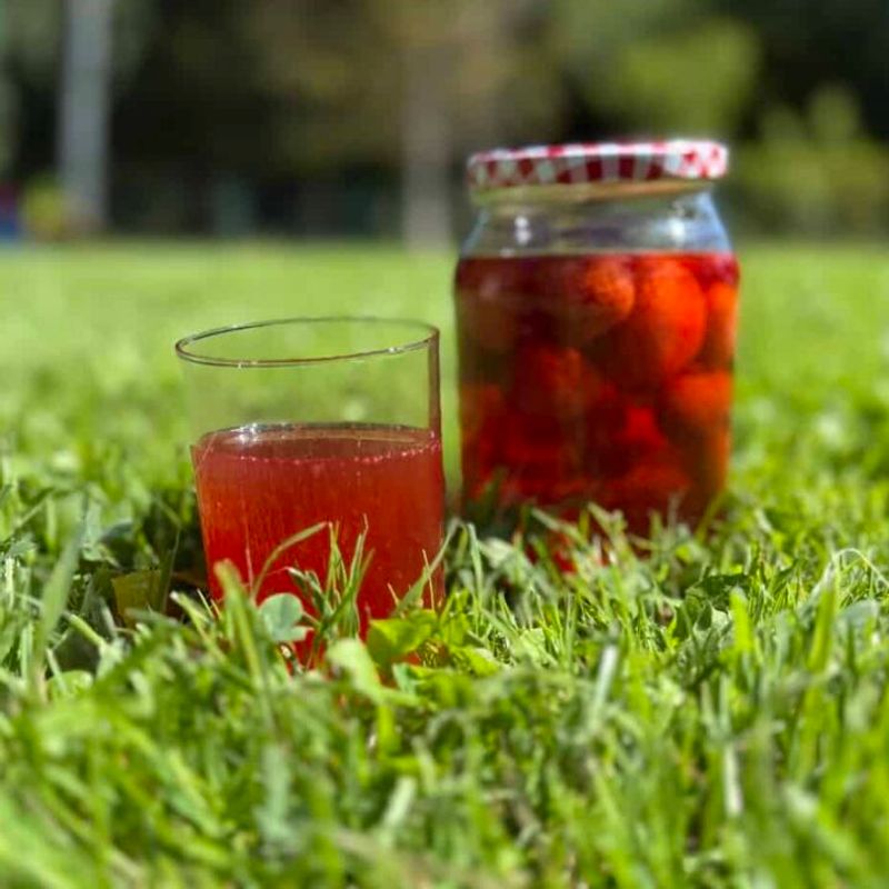 Kompot