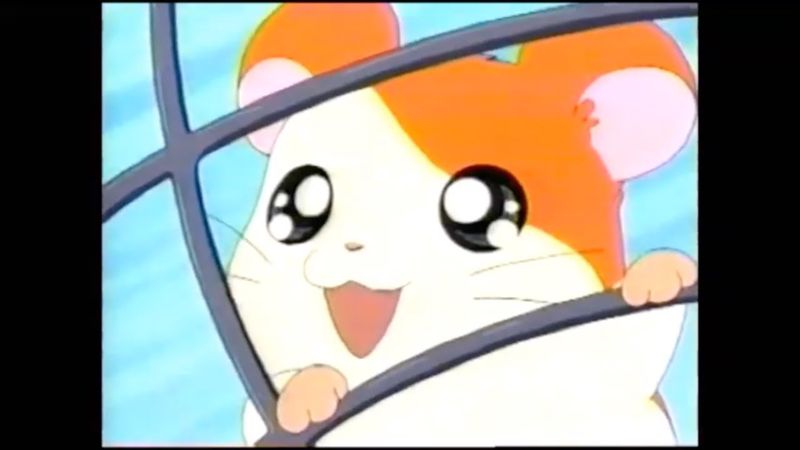 Hamtaro