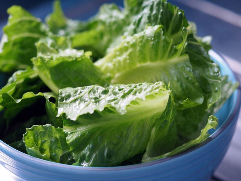 Lettuce
