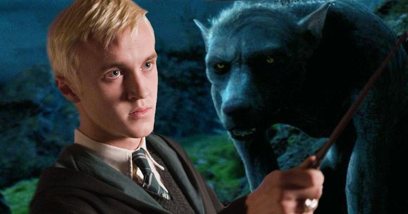 Draco Malfoy Was Secretly a Werewolf