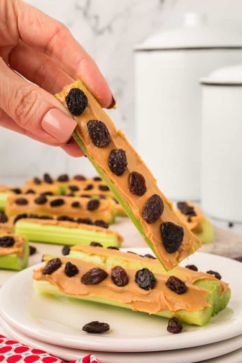 Ants on a Log