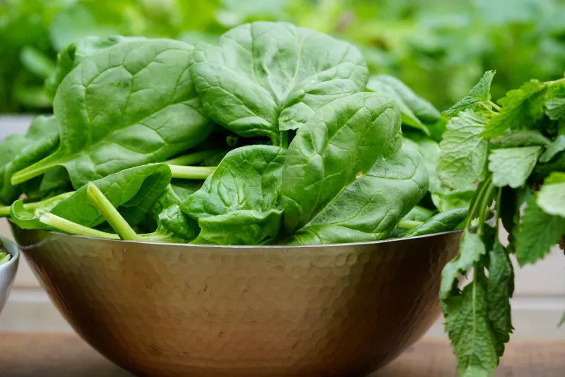 Spinach