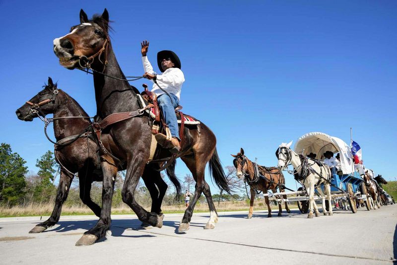 Horses Are How Texans Get Around